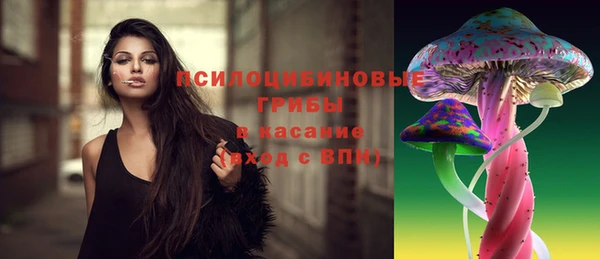 твердый Армянск