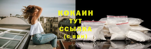 твердый Армянск