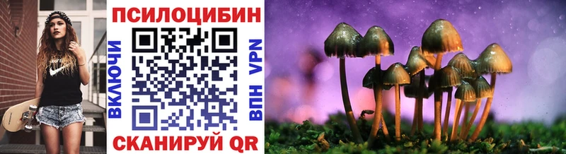 Галлюциногенные грибы прущие грибы  Боготол 